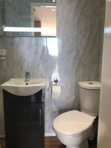 a bathroom with a white toilet and a sink at Fallburn Hideaway in Knockanully +28 photos