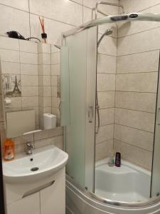 ein Bad mit einer Dusche und einem Waschbecken in der Unterkunft Luxury for Business & Pleasure Royal in Dnipro