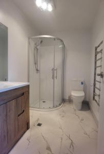 ein Bad mit einer Dusche und einem WC in der Unterkunft Henderson New House (瀚德森新居） in Auckland
