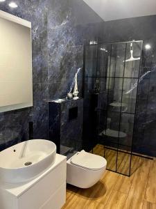een badkamer met een wastafel, een toilet en een douche bij Bałtyckie Klimaty in Stegna