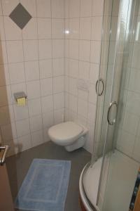 a small bathroom with a toilet and a shower at Gasthof-Pension Ölberger in Wolfsberg