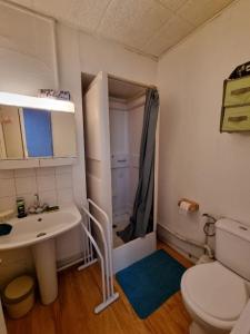 ein Bad mit einem Waschbecken, einem WC und einer Dusche in der Unterkunft Appartement silencieux avec une belle vue . in Morez