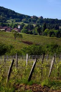 a fence in the middle of a field at les gites du passage: le nid in Passenans