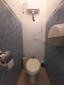 un piccolo bagno con servizi igienici e lavandino di Parkside double room 2 a Budapest