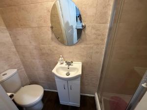 a bathroom with a toilet and a sink and a mirror at The Griffen Lodge in Plumstead