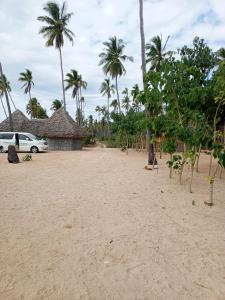 une plage avec des palmiers et une voiture garée sur celle-ci dans l'établissement AFLII Beach Club ( Zanzibar Beach ), à Mtwara