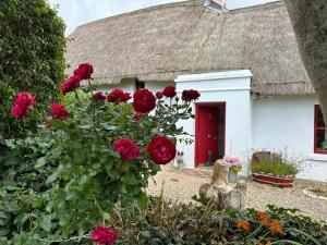 A garden outside Quay House