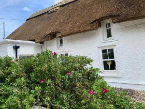 a white house with a thatched roof and pink flowers at Quay House in Wexford