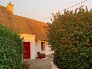una casa con una puerta roja y dos arbustos en Quay House en Wexford