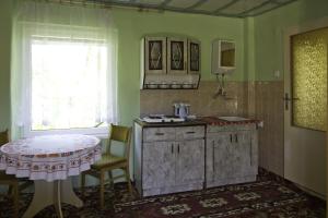 A kitchen or kitchenette at Penzión Pod kopcom
