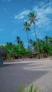 einen Strand mit Palmen in der Unterkunft AFLII Beach Club ( Zanzibar Beach ) in Mtwara