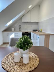 a kitchen with a table with a potted plant on it at C rooms by Cortado in Zrenjanin