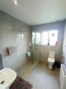 een badkamer met een douche, een toilet en een wastafel bij Fjell2Sea in Newcastle