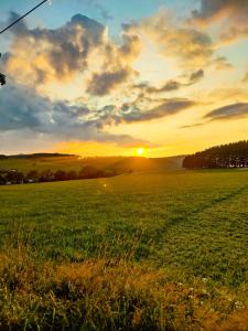 ヴィンターベルクにあるGasthof Sonnentalの夕日を背景にした草原