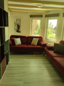 a living room with a brown couch and two windows at Villa Nënë Terezës in Pristina