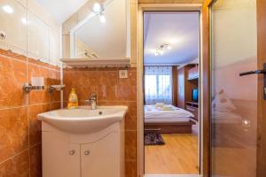 a bathroom with a sink and a shower at Casa David in Săcele +30 photos