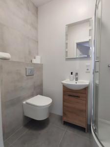 uma casa de banho com um WC, um lavatório e um chuveiro em Apartamenty na Rynku Tarnów em Tarnów