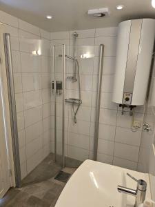 a bathroom with a shower and a toilet and a sink at Norrekås Beach Studios in Borrby