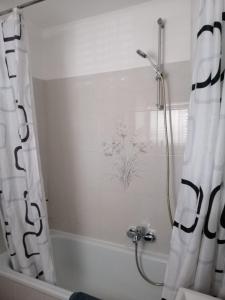 La salle de bains est pourvue d'une douche avec rideau de douche. dans l'établissement Apartments Jurišević, à Umag