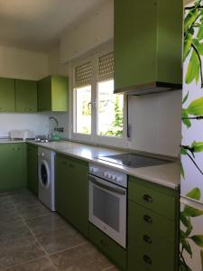 にあるChalet Camino Verde - PUENTEDEYのキッチン(緑のキャビネット、食器洗い機付)