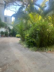a row of palm trees in front of a building at Mediterraneo Apartment in Ercolano