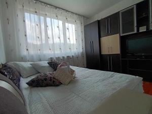 Ένα ή περισσότερα κρεβάτια σε δωμάτιο στο Apartament Magic