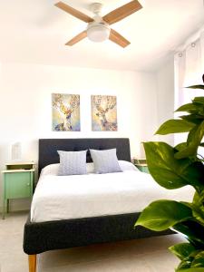 1 dormitorio con 1 cama y ventilador de techo en Apartamento Luz de Conil. WIFI+A/C. SOLO FAMILIAS Y PAREJAS, en Conil de la Frontera