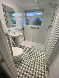 a bathroom with a shower and a toilet and a sink at Two rivers reach in Iford