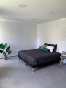 um quarto com uma cama e um vaso de plantas em L'HERMANCERIE em Priay