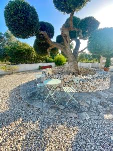 Zahrada ubytování Villa Connie