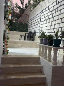 un conjunto de escaleras con macetas. en Beit Al Hasan بيت الحسن en Um Qeis