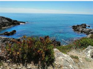 a view of the ocean from a rocky shore at A Levante in Ascea