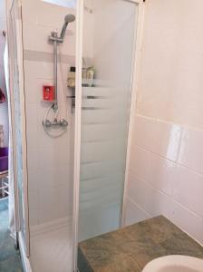 a shower with a glass door in a bathroom at Maison de village, charmante et authentique, haute-corse in Vezzani