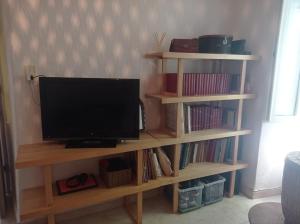 une télévision sur une étagère en bois avec des livres dans l'établissement Maison de village, charmante et authentique, haute-corse, à Vezzani