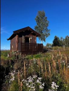 une petite cabane en bois dans un champ fleuri dans l'établissement small camping cabbin with shared bathroom and kitchen near by, à Hattfjelldal