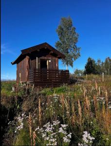 uma pequena cabana de madeira num campo com flores em small camping cabbin with shared bathroom and kitchen near by em Hattfjelldal