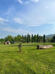 a tree in a field with a tractor in the background at Agriturismo San Marco in Dragoni