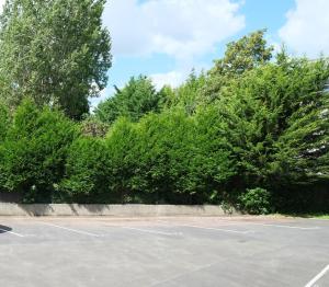 Φωτογραφία από το άλμπουμ του Le Jockey - SIPCO Immobilier - Centre σε Σαιν-Λο