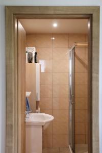 a bathroom with a sink and a shower at Ubytování EVA in Stará Říše