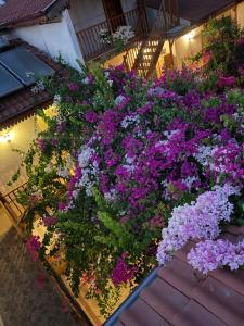 Zahrada ubytování Hotel Konak Su