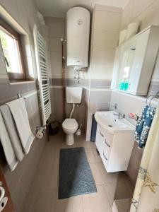 a bathroom with a toilet and a sink at Duša Zlatara in Nova Varoš