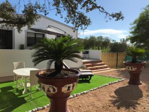 two large potted plants in front of a house at Casa tranquil in Santa Bárbara de Nexe