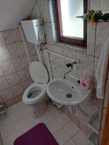 a bathroom with a toilet and a sink at Kuća za odmor Jutro in Kremna