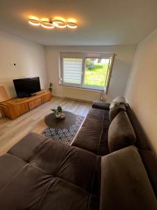 a living room with a brown couch and a television at Ferienwohnung Laufenburg in Laufenburg