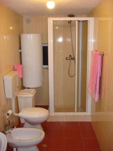 een badkamer met een toilet en een douche bij A casinha in Cerejeiras