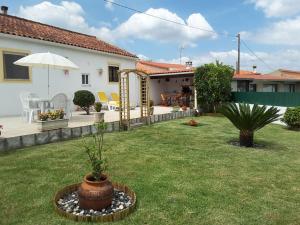een huis met een tuin met een potplant in het gras bij A casinha in Cerejeiras