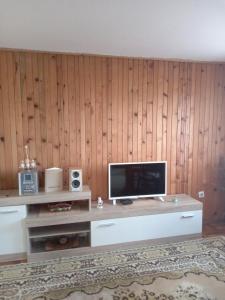 a living room with a television on a wooden wall at Kuća za odmor Jutro in Kremna