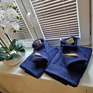 a pair of blue towels sitting on a window sill at chambres d'hotes chez Linda Stéphane le passé composé 