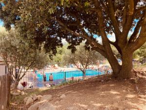 een boom naast een zwembad met een groep mensen bij Lodges du Camping les 4 Saisons in Grane