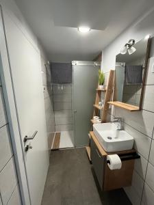 a bathroom with a sink and a shower at Azimut Hiša in Tolmin